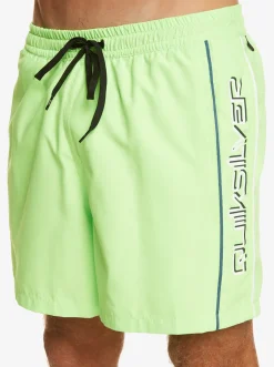 Quiksilver Elastic Waist|Everyday Vert 16