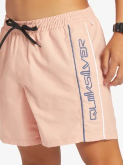 Quiksilver Elastic Waist|Everyday Vert 16