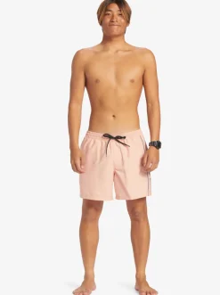 Quiksilver Elastic Waist|Everyday Vert 16