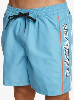 Quiksilver Elastic Waist|Everyday Vert 16