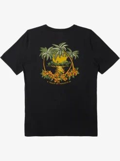 Quiksilver Tees|Island Cap Mtz T-Shirt Black