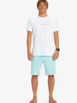 Quiksilver Boardshorts|Ocean Union Amphibian 20