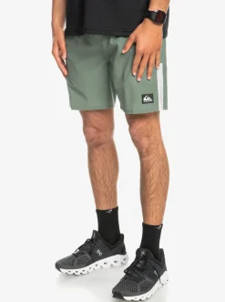 Quiksilver Boardshorts|Omni 17