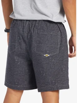 Quiksilver Shorts & Amphibians|Saturn Taxer 18