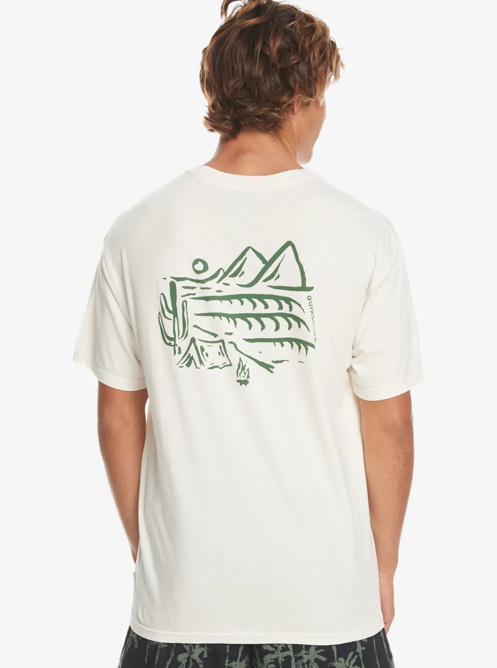 Quiksilver Tees|Silver Lining T-Shirt Birch