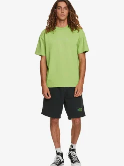 Quiksilver Tees|Skewed T-Shirt Panama