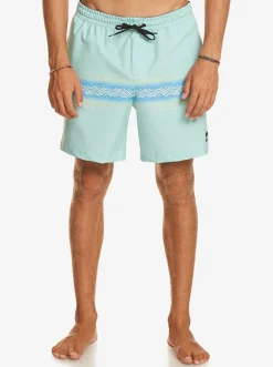 Quiksilver Elastic Waist|Surfsilk Mesa Stripe 17