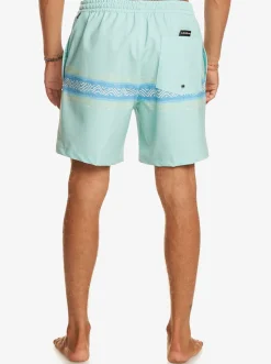 Quiksilver Elastic Waist|Surfsilk Mesa Stripe 17
