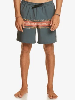 Quiksilver Elastic Waist|Surfsilk Mesa Stripe 17
