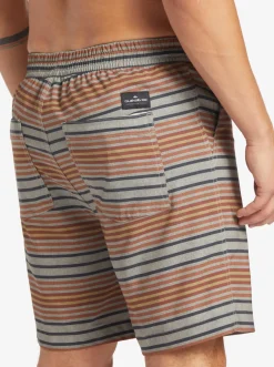 Quiksilver Boardshorts|Taxer Print 18