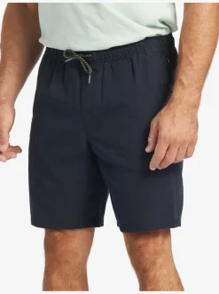 Quiksilver Shorts|Waterman Last Light Elastic Waist 19