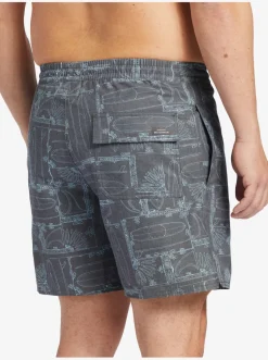 Quiksilver Elastic Waist|Waterman Longboard Volley 17
