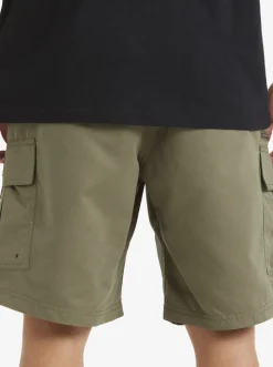Quiksilver Shorts|Waterman Maldive Atoll Cargo 20