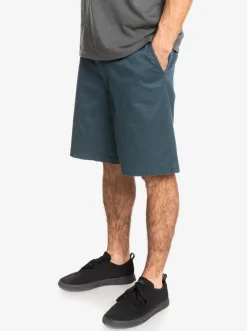 Quiksilver Shorts|Waterman Secret Ocean 20