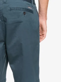 Quiksilver Shorts|Waterman Secret Ocean 20