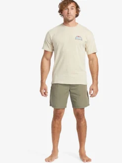 Quiksilver Tees|Waterman Set View T-Shirt Brown Rice